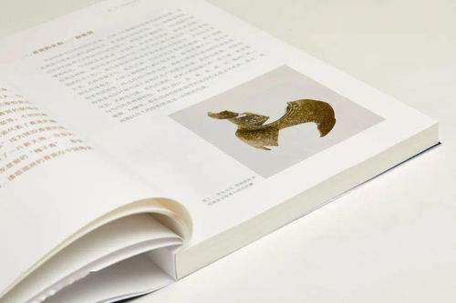 一本书读懂中国瓷器3000年 辉煌历程与文化意蕴